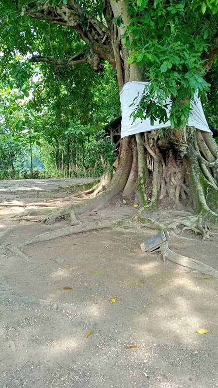 SAMBI LANANG - Image 1
