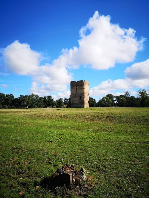 Donjon de Lespinasse - Image 1