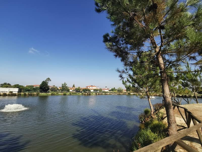 Parque da Lagoa de Calvão - Image 1