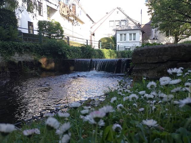 Bartók-Wasserfall - Image 1