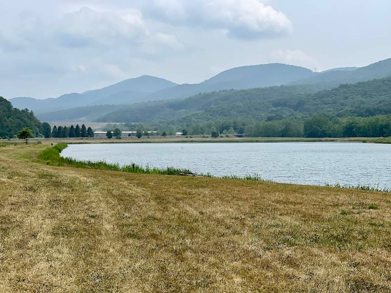 Upper Dam Deep Pond - Image 2