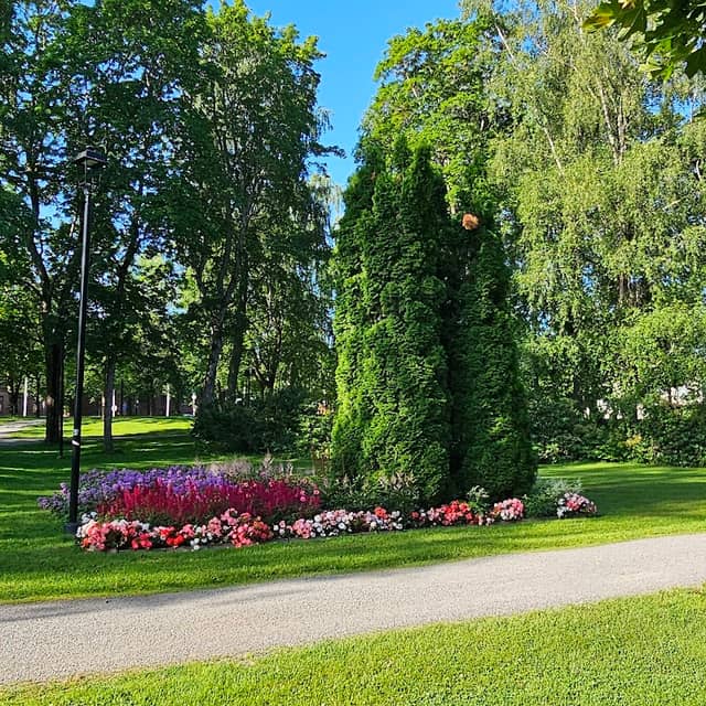 Vanhan hautausmaan puisto - Image 1