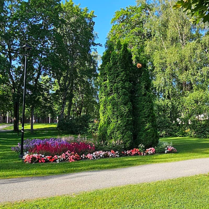 Vanhan hautausmaan puisto - Image 1
