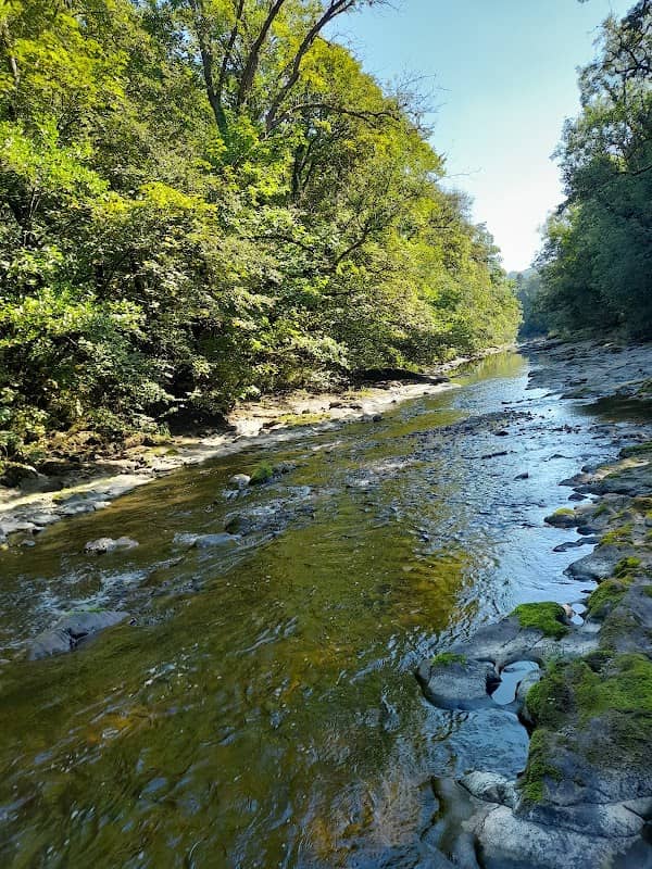Deri Woods - Image 1