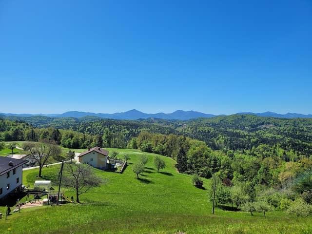 Gora - Image 2