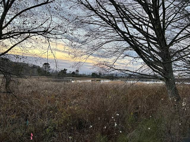 Edmonds Marsh - Image 2