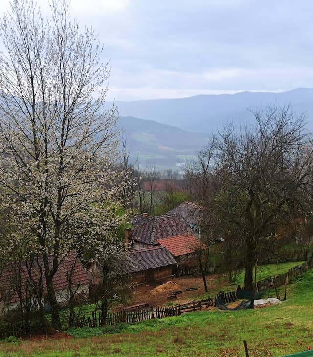 Јеловци - Image 2