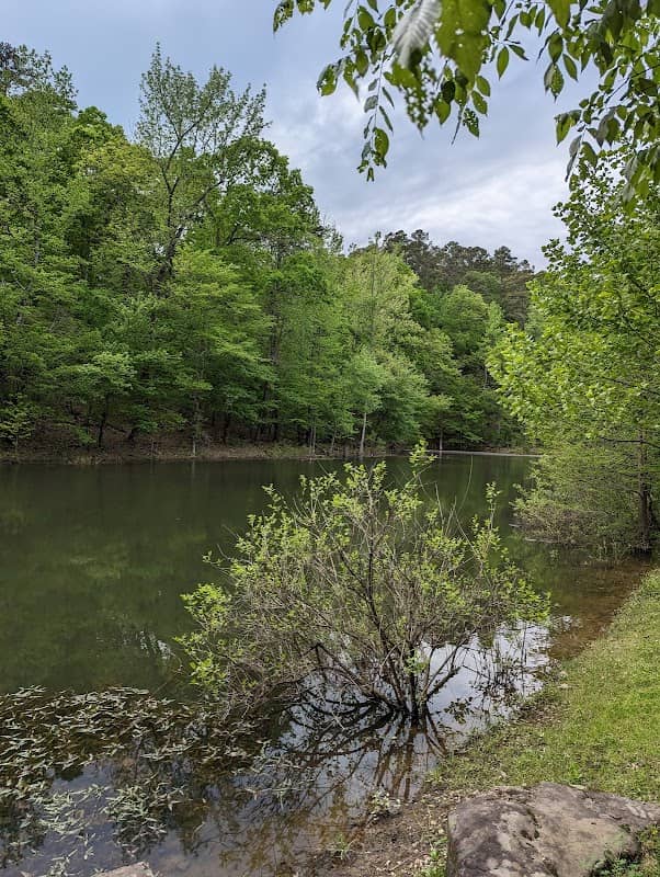 Lakeside trail - Image 2