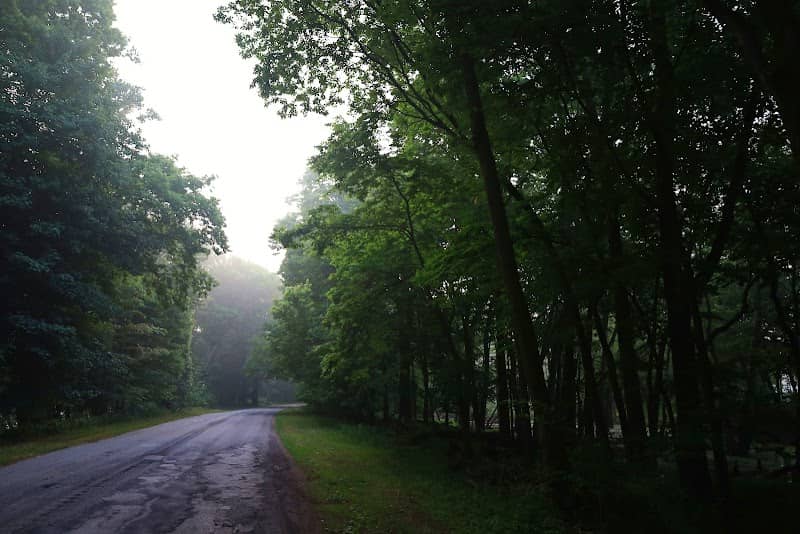 Kent Trails - Image 2