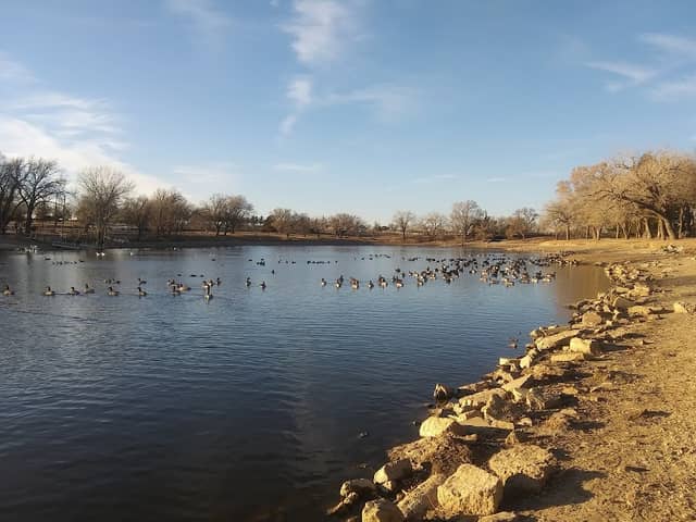 Thompson Park - Image 2