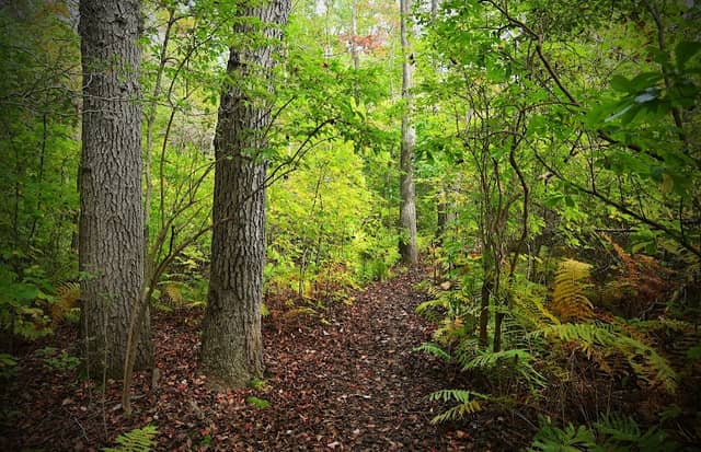 North Shore Wildlife Sanctuary - Image 1