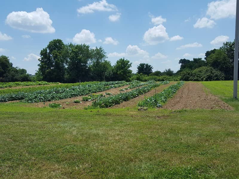 Gardens @ Simon Kenton - Image 1