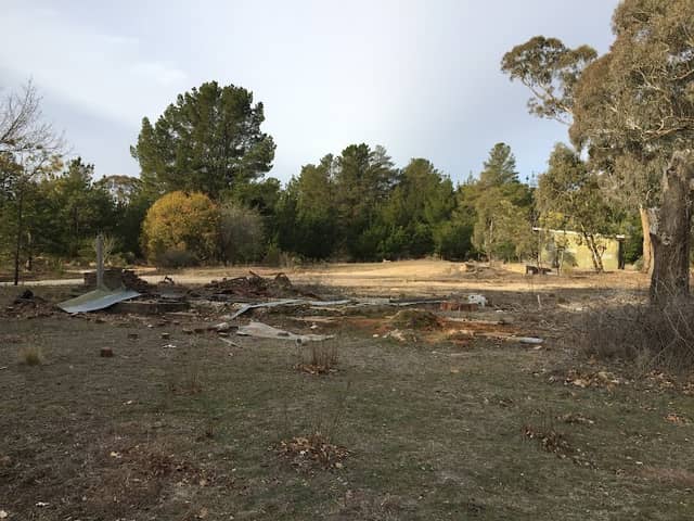Mullions Range State Forest - Image 1