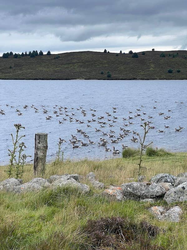 Brenig bird hide and archeology trail - Image 2