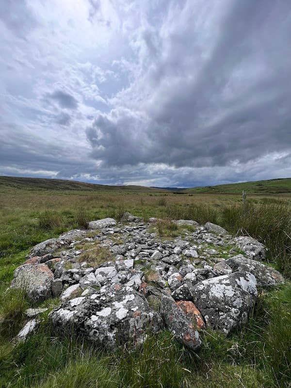 Brenig bird hide and archeology trail - Image 1