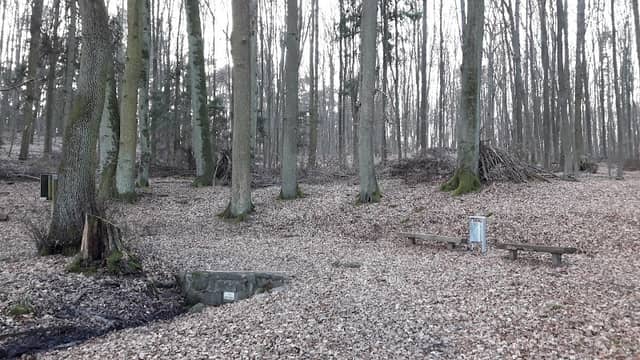 Nicolausquelle Leihgestern - Image 2