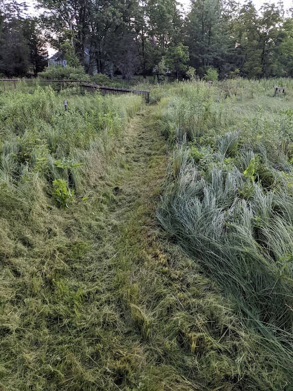 Wautoma Wetlands Park (North Entrance) - Image 2
