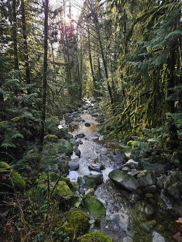 Widgeon marsh regional park - Image 1