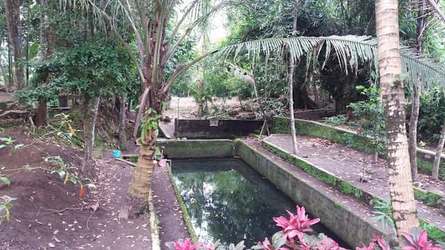 Sendang Manis Kolokendang - Image 2