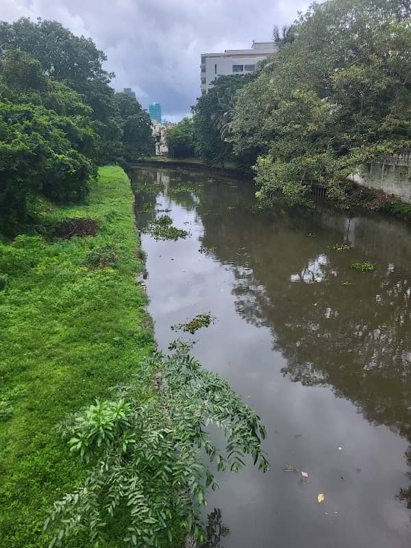 Bridge to Havelock city - Image 2