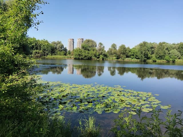 Stroginsky park - Image 1