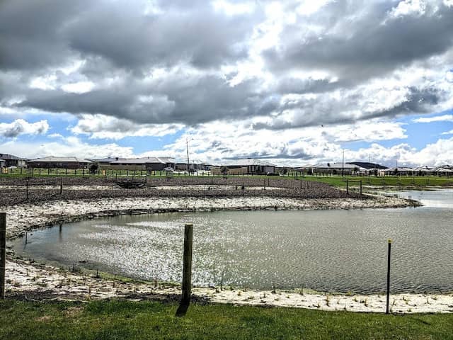 Bells Avenue Wetlands - Image 1