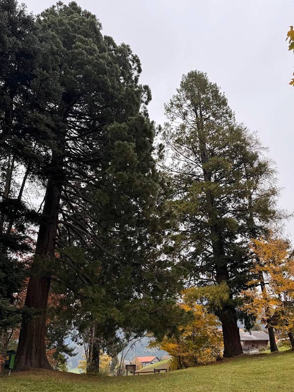 Mammutbaum Park - Image 1