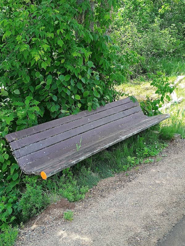 Trail Bench - Image 2