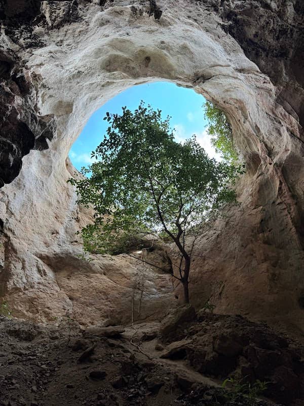 Bat Cave - Image 2