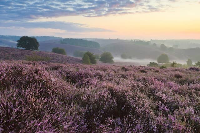 Nationaal Park Veluwezoom - Image 1