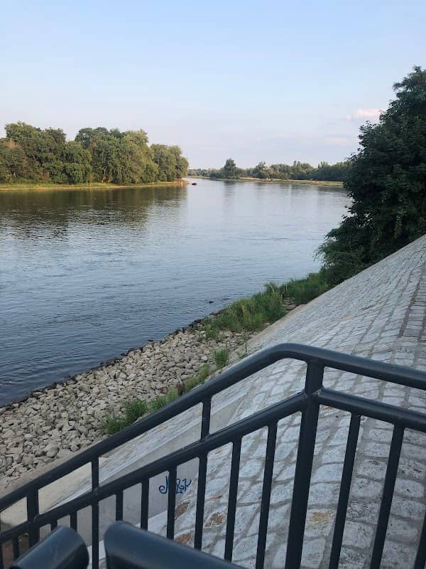Buckauer Baumkreisel - Image 3