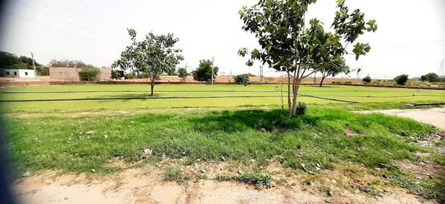 Park - Mitha peer Mandir - Image 1
