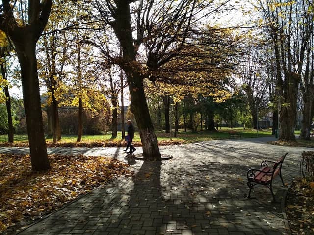 Tineretului Park - Image 1