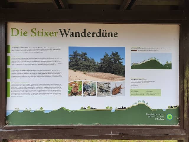 Stixer Wanderdüne - Image 2