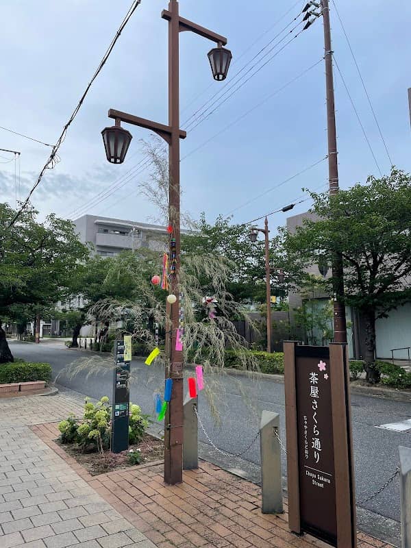 Chayanochō Cherry Tree Row - Image 3