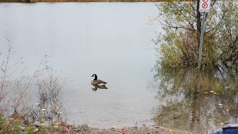James Snow Pond - Image 2