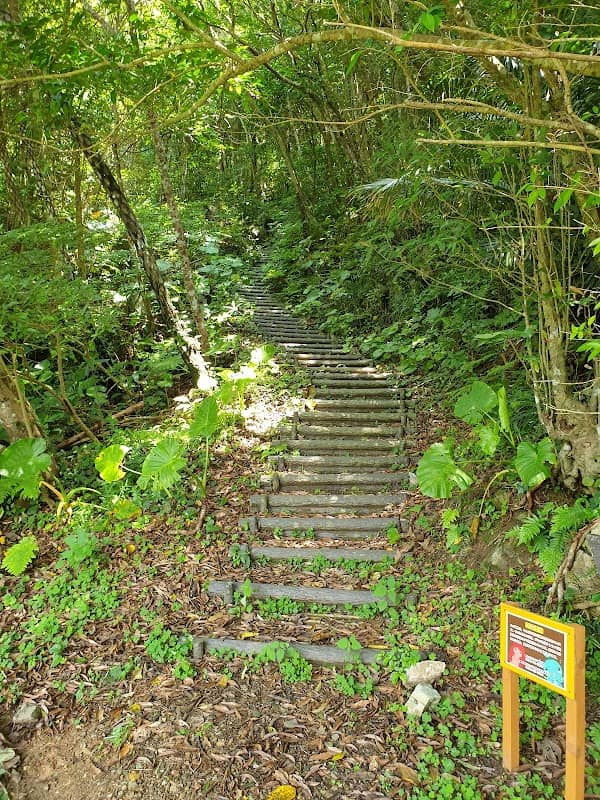 ネクマチヂ岳山頂 - Image 1