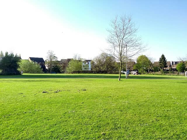 King's Meadow - Image 1
