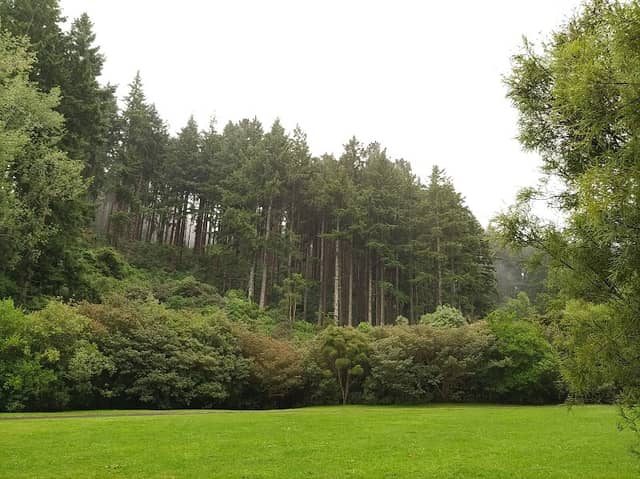 Bethune's Gully - Image 1