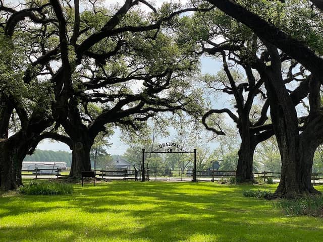 Cane River Creole National Historical Park - Image 3