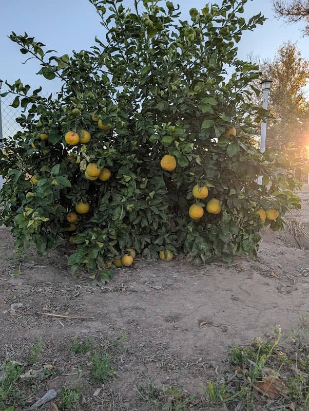 Rancho Fonseca - Image 1