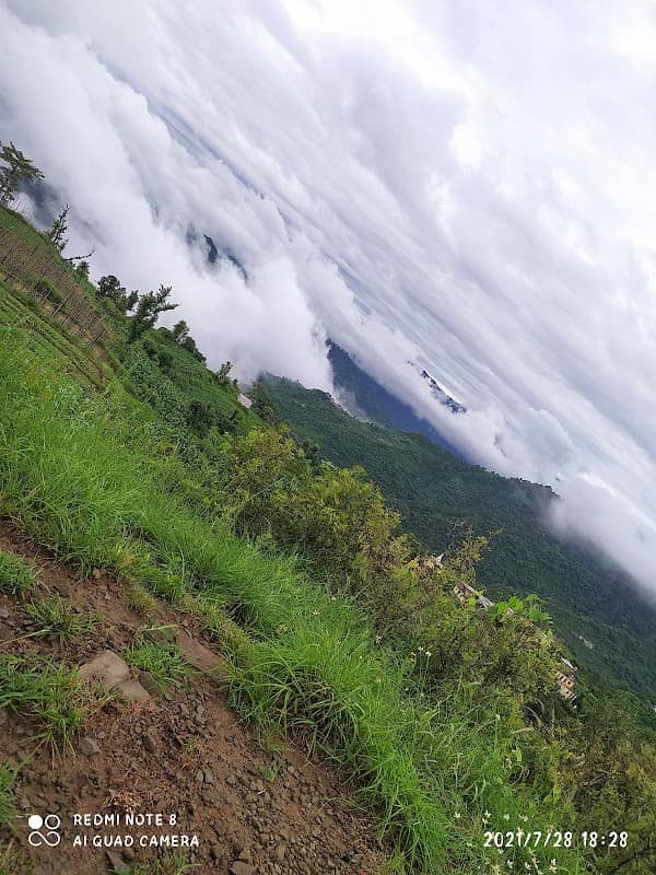 Hill station tipra - Image 1