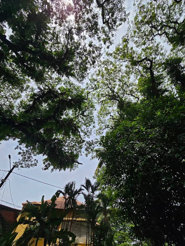 Dronacharya Relaxing Point - Image 1