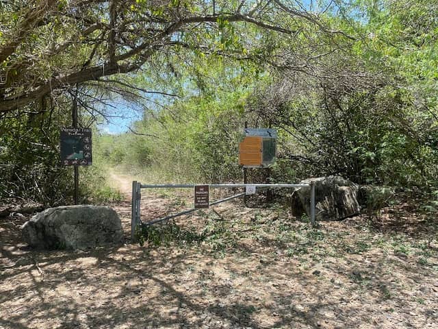 Playuela - Image 2