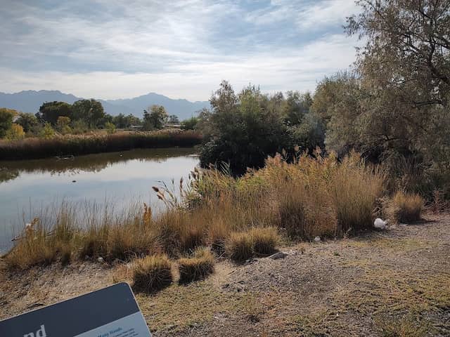 Jordan River Parkway Cottonwood Pond - Image 3