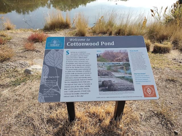 Jordan River Parkway Cottonwood Pond - Image 2