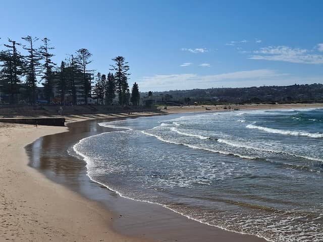 Dee Why Beach - Image 1