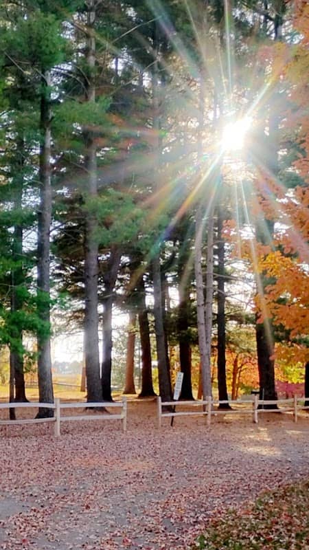 Akron Park - Image 3