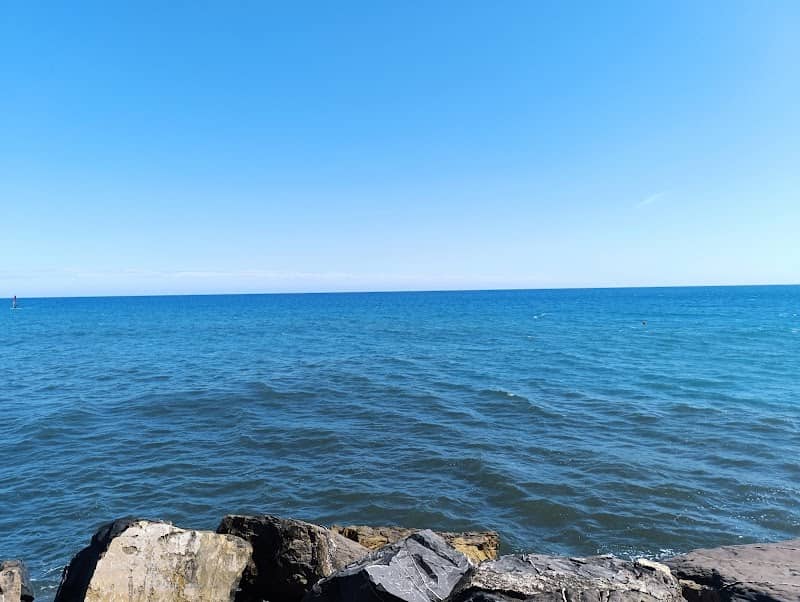 Molo delle tartarughe - Image 2
