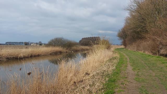 Zuid-Beijerlandse Bos - Image 2